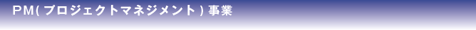 PM（プロジェクトマネジメント）事業